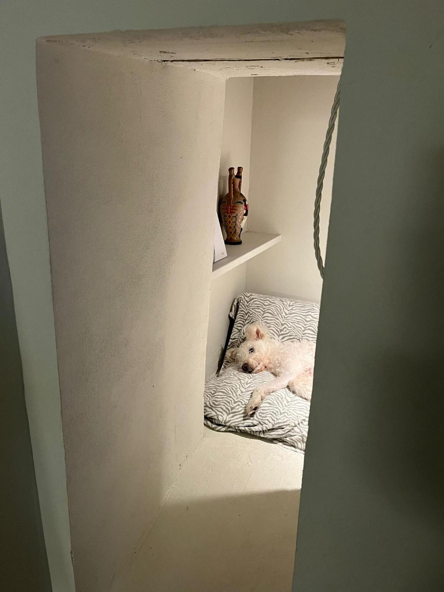 M.Sommer House 皮斯托亚 外观 照片